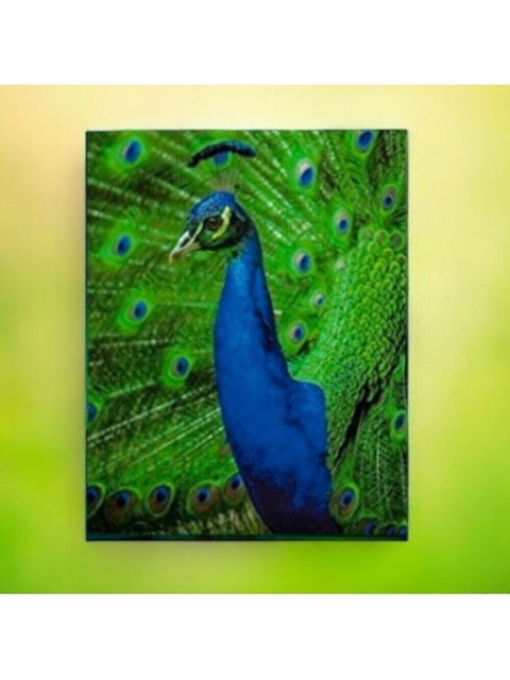 25 10X13 Poly Mailers Royal Peacock PRICE IS FIRM - Picture 4 of 13